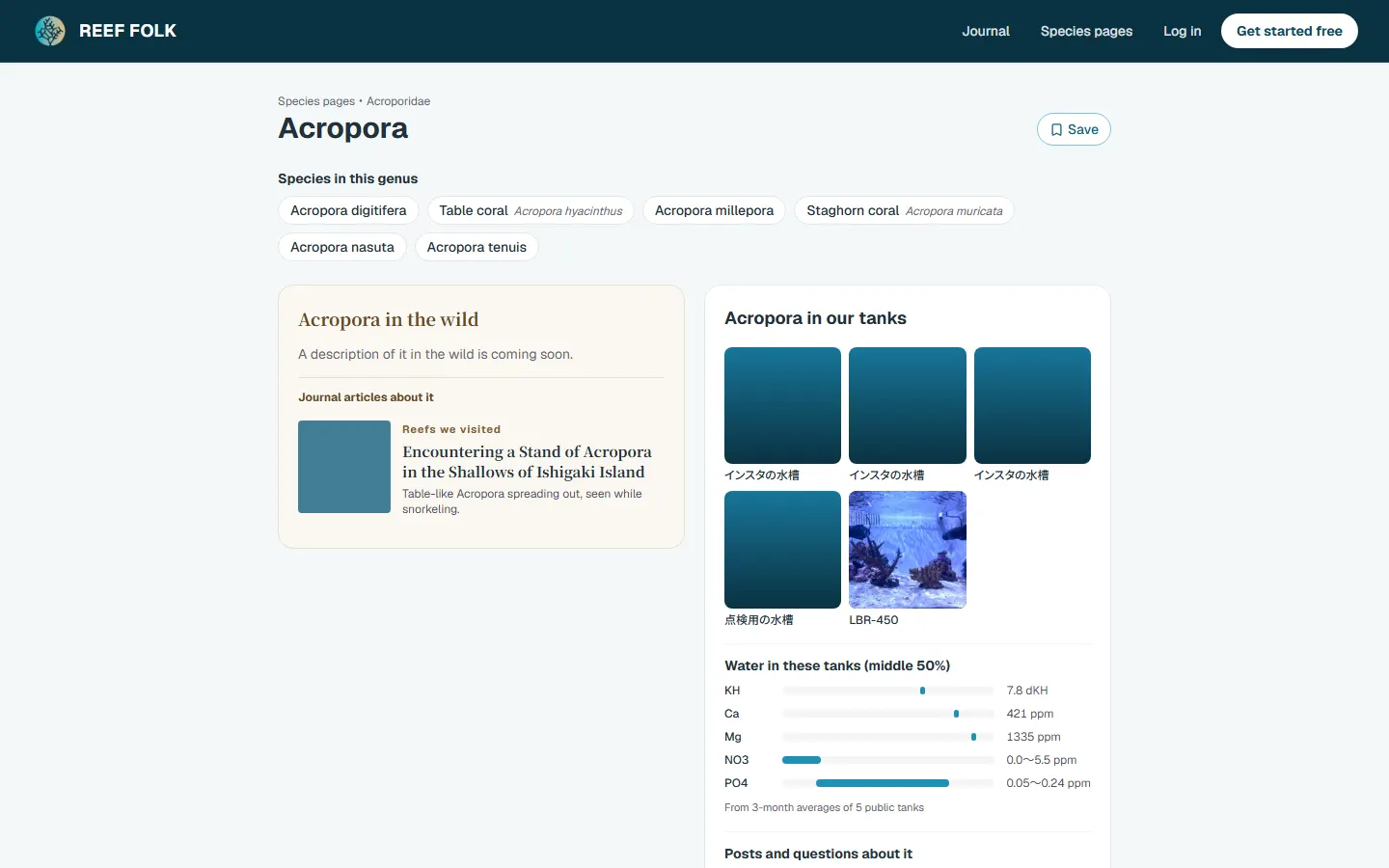Species page: Acropora